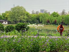 -堤角公园