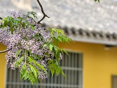 -贡湖湾湿地公园