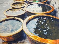 景点-包公祠
