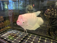 -老三羊汤【北兴隆街店】