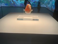 -北京大葆台遗址博物馆