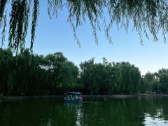 -团结湖公园