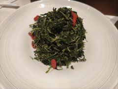红果枸杞苗-清真·宁夏印象·盐池滩羊肉体验店(江宁路店)