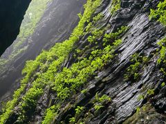 -龙水峡地缝景区