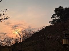 -小南山公园