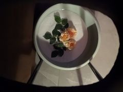 -Dragonfly 悠庭·按摩Spa(苏州中心广场店)