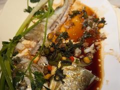 -苏大嘴蒸汽海鲜·海胆蒸饺(中山广场店)