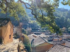 -杨家堂村
