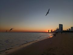 -金梦海湾浴场