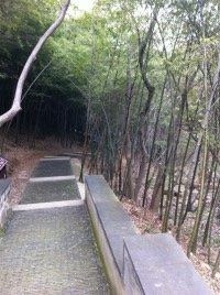 -穹窿山景区