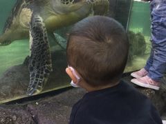 -鸿通城购物中心