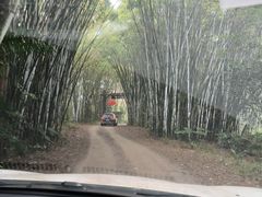 -海南热带野生动植物园