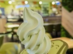 -油梨树AVOCADO TREE(嘉里中心店)