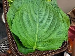 苏子叶-老熟人烤肉城(马家堡店)