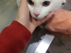 -暖阳宠物医院·犬猫康复中心·骨科