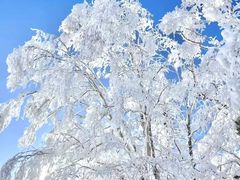 -长白山万达国际滑雪场