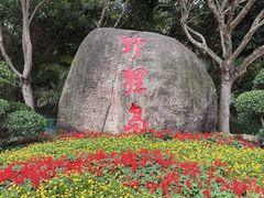 -野狸岛