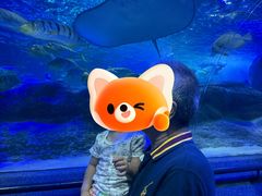 -大连圣亚海洋世界