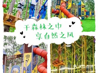 六一来这座位森林乐园中乐享自由童年吧