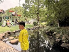 -白马涧龙池景区