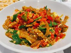 鸭掌筋-壹盏灯(惠农店)