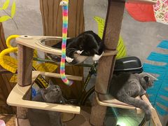 -么么咖啡(燕郊店)