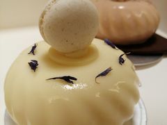 -PAUL LAFAYET 法式甜品(港汇广场店)