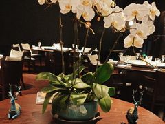 -明湖楼·经典鲁菜山东海鲜(大明湖店)