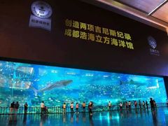 -成都浩海立方海洋公园