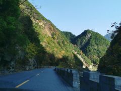 -黑河国家森林公园