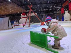 -宁波冰雪大世界(北仑区)