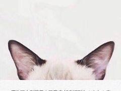 -庄老幺火锅(娄山关路店)