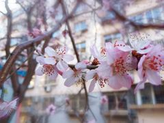 -天津意大利风情旅游区