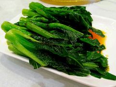 盐水灼菜心-鹅城