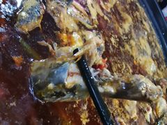 -金海椒罐罐鲢鱼(东方桂苑店)