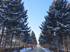 -长春市南湖公园