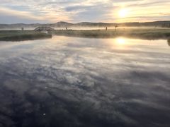 -塞罕坝国家级自然保护区