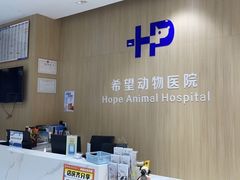 -希望动物医院(汉阳院)