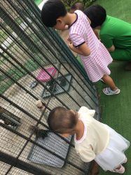 点击看大图 -萌宠亲子动物乐园(槐房万达店)