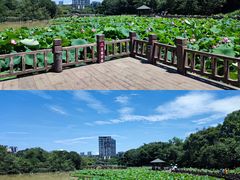 -金山公园