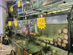 -鑫阿强海鲜大排档·老厦门特色菜(中山路店)