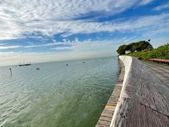 -贡湖湾湿地公园