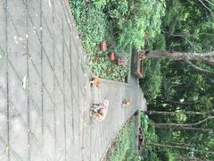 龙虎山自然保护区-广西龙虎山风景区