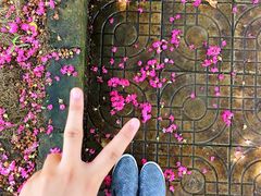 -武汉紫薇都市田园