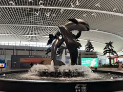 -青岛胶东国际机场