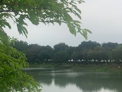 -海珠湖公园