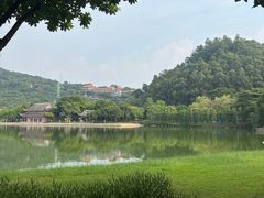 -顺峰山公园