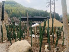 -MOJ coffee(瓯海泽雅水碓坑店)