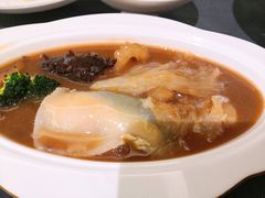 -沈灶河豚宴·河豚融合餐厅(汉中路店)