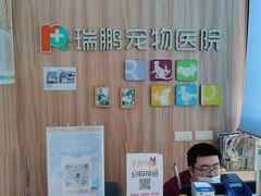 -瑞鹏宠物医院·内科·中兽医·骨科(苗圃店)